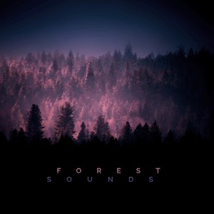 Forest Sounds