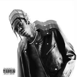 Z Pusy Plujem Flame (Remix|Explicit)