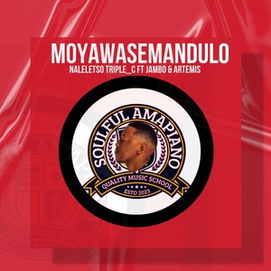 Moyawaemandulo