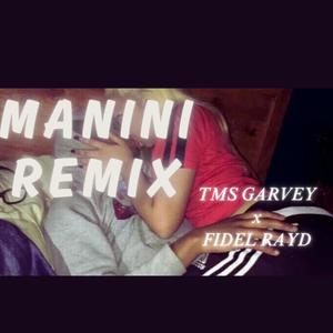 MANINI (feat. FIDEL RAYD) [REMIX] [Explicit]