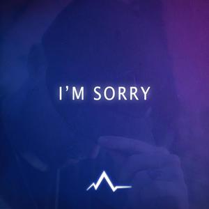 I'm Sorry (Explicit)