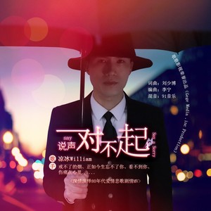 说声对不起 (DJ何鹏版)