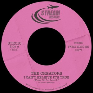 I Can't Believe It's True (Instrumental)