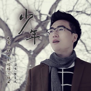 少年