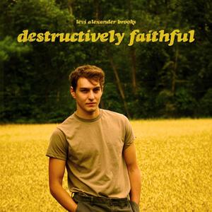 Destructively Faithful