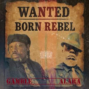 Born Rebel (Explicit)