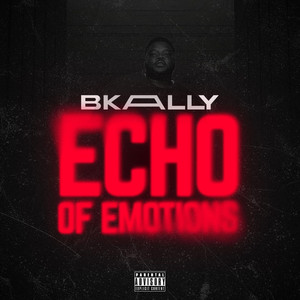 Echo Of Emotions