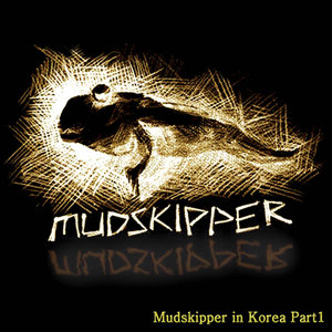 Mudskipper in Korea Part I