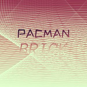 Pacman Brick