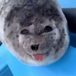 dw we gonna b good (Explicit)