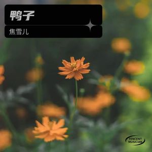 鸭子