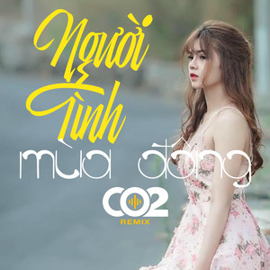 Người Tình Mùa Đông Remix
