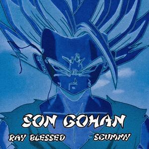 Son Gohan (Explicit)