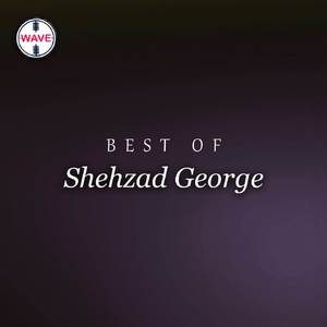 Best Of Shehzad George