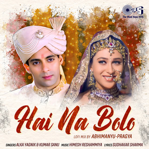 Hai Na Bolo (Lofi Mix)