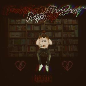 Feelings on the shelf (Explicit)