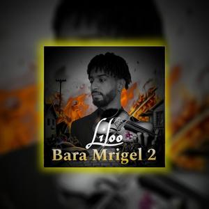 Bara Mrigel 2.0 (Explicit)