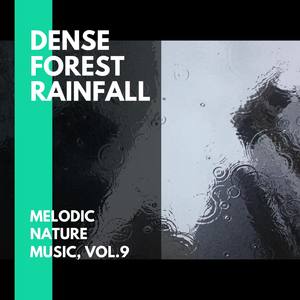 Dense Forest Rainfall - Melodic Nature Music, Vol.9