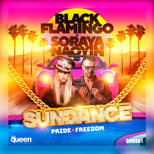 Black Flamingo - Sundance (Radio-Edit)