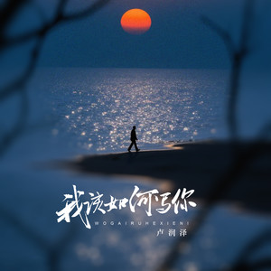 我该如何写你-卢润泽