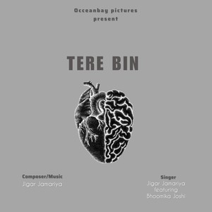 Tere Bin