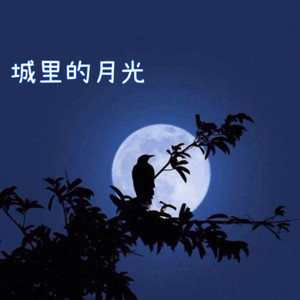 城里的月光