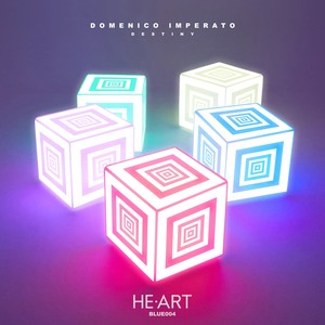 Destiny (Blanca Ross Remix)