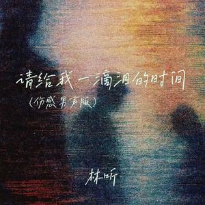 请给我一滴泪的时间 (伤感男声版)