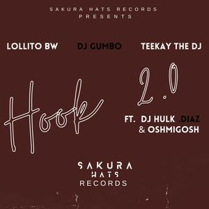 Hook 2.0 (feat. Dj Gumbo, Teekay The Dj, Dj Hulk, Diaz & Oshmigosh|Explicit)