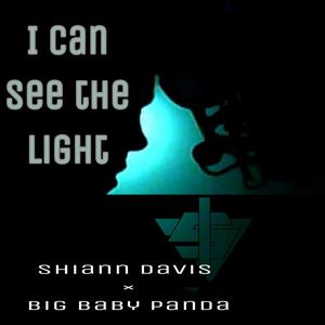 I Can See The Light (Explicit)