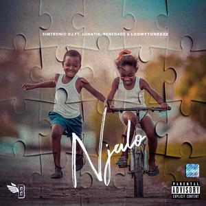 Njalo (feat. Lunatik, Renegade & Loomytunezzz) [Explicit]