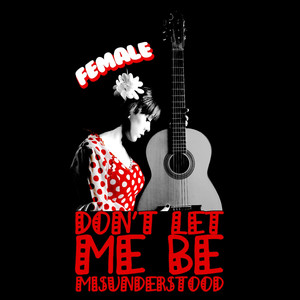 Don't Let Me Be Misunderstood (South Beach Trance Mix)