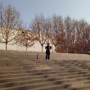 送给你一朵浪花