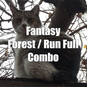 Fantasy Forest / Run Full Combo