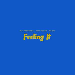 Feeling It (feat. Joey Blaze & B1nco) [Explicit]