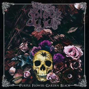 Purple Flower, Garden Black (Explicit)