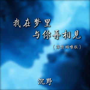 我在梦里与你再相见 (深情烟嗓版)