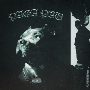 PAGA PAU (Explicit)