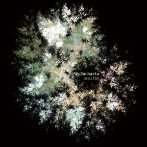 The Best Illusionist