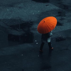 风吹麦浪封面