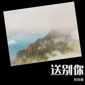 送别你