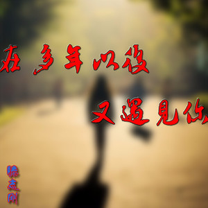 在多年以后又遇见你