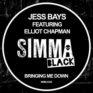 Bringing Me Down (Low Steppa, WZA, Reza Dub)