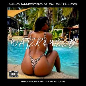 WATER & WEED (feat. Milo Maestro) (Explicit)