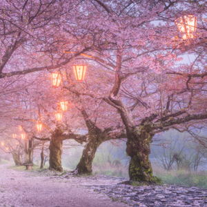 Break It Down (Explicit)