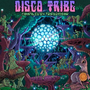 Disco Tribe