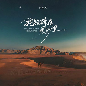 驼铃碎在风沙里