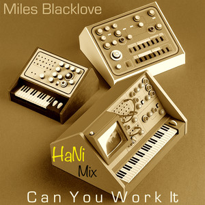 Can You Work It (Hani's Radio Mix)