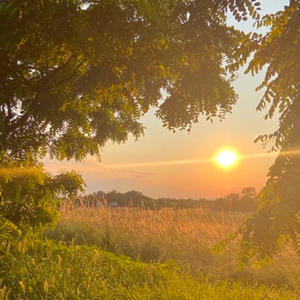 Sunshine (feat. Docent) (Explicit)