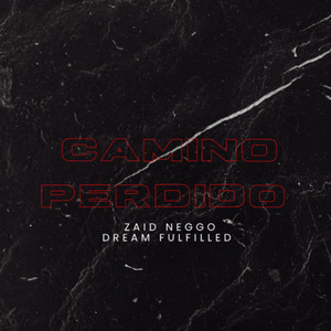 Camino Perdido